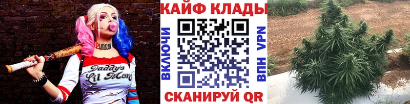 Как найти наркотики Ставрополь Alpha-PVP  Меф мяу мяу  ГАШИШ 