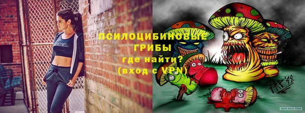 соль курить ск Алзамай