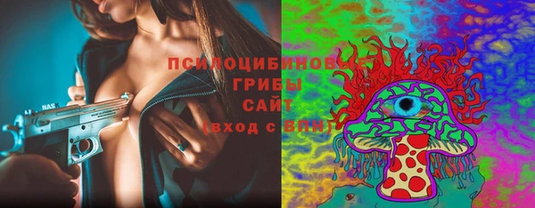 соль курить ск Алзамай