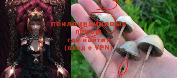 соль курить ск Алзамай