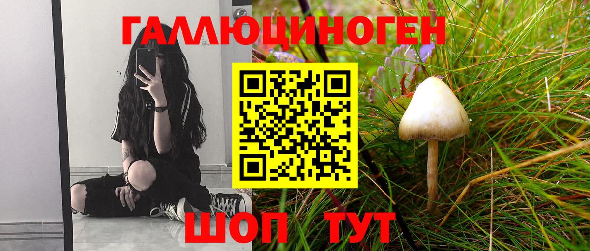 Псилоцибиновые грибы прущие грибы Ставрополь