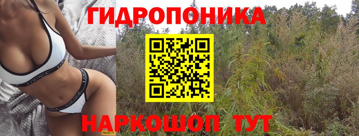 МАРИХУАНА тримм  Бошки марихуана MAZAR  Ставрополь  Вход с VPN 